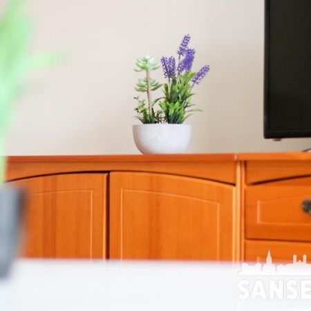 Apartamento Colon By Sanse Holidays San Sebastián Exteriör bild