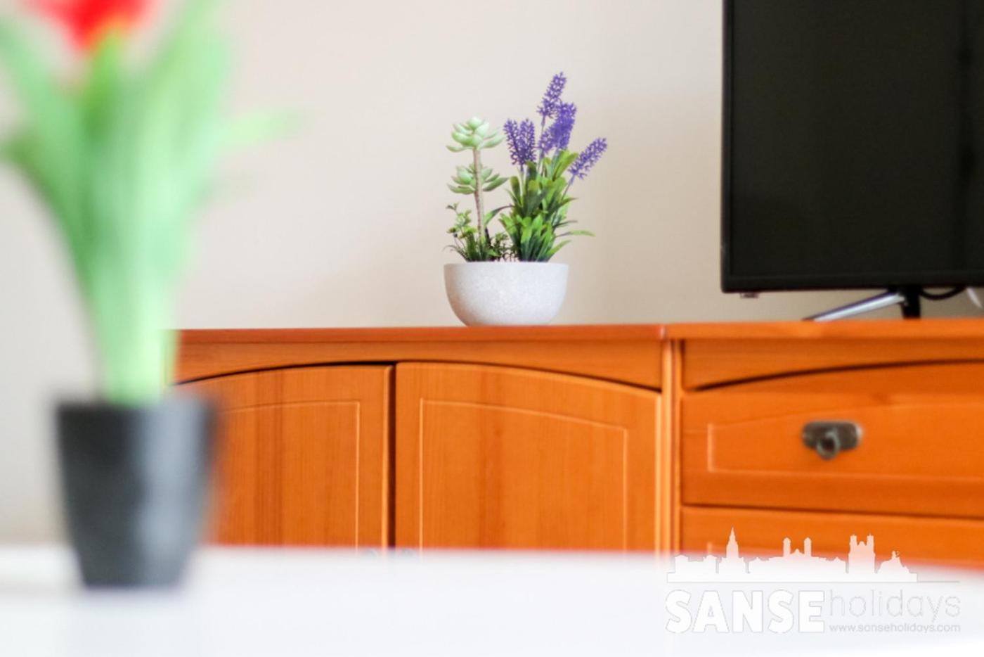 Apartamento Colon By Sanse Holidays San Sebastián Exteriör bild